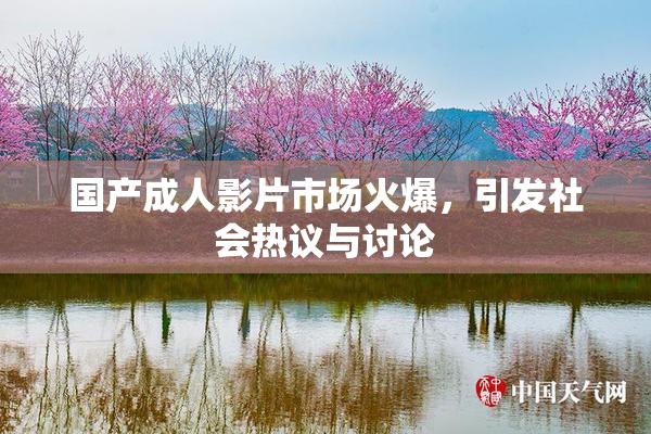 国产成人影片市场火爆，引发社会热议与讨论
