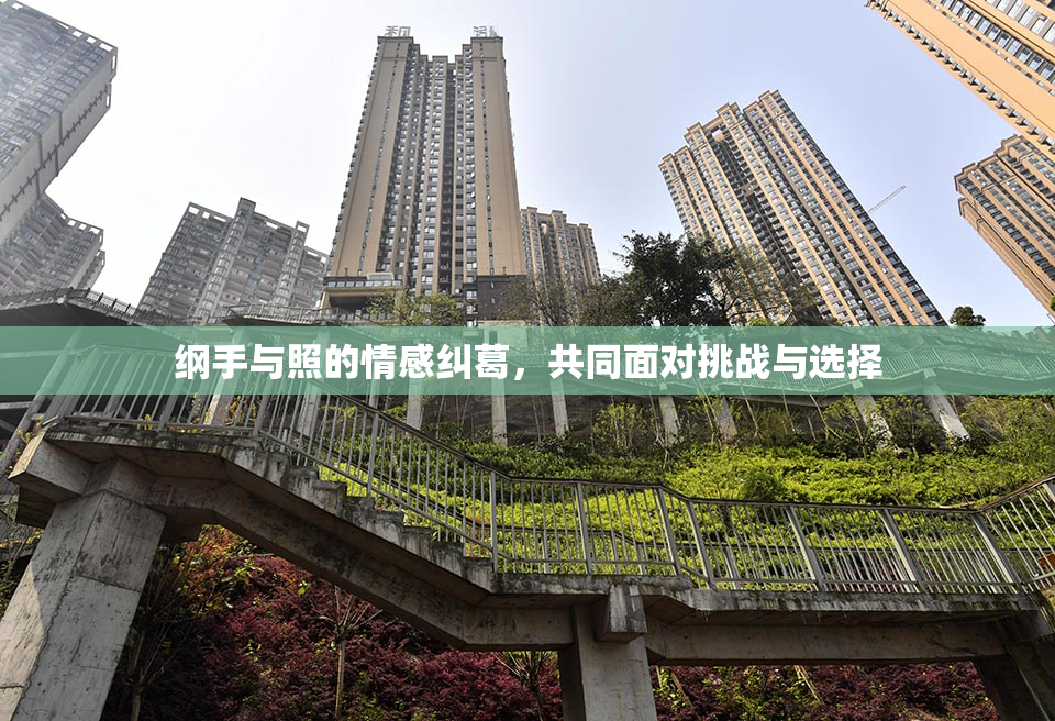 纲手与照的情感纠葛，共同面对挑战与选择