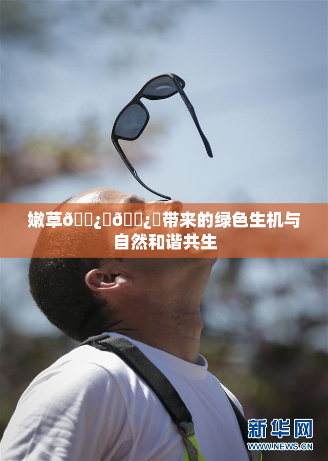 嫩草🌿‌🌿‌带来的绿色生机与自然和谐共生