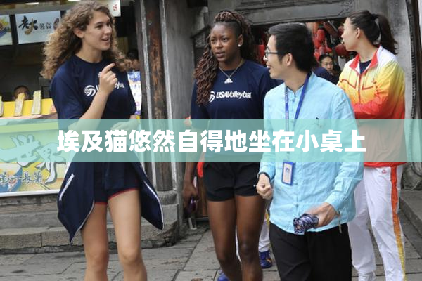 埃及猫悠然自得地坐在小桌上