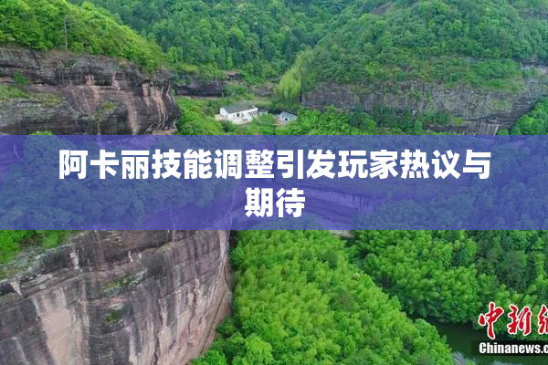 阿卡丽技能调整引发玩家热议与期待