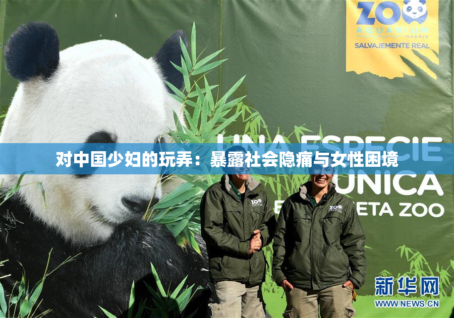 对中国少妇的玩弄：暴露社会隐痛与女性困境