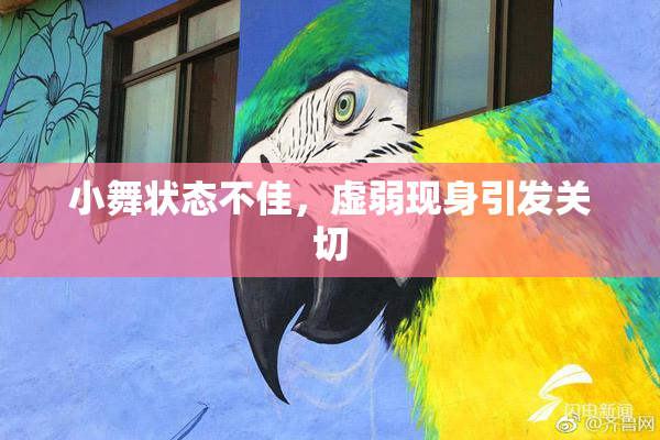 小舞状态不佳，虚弱现身引发关切