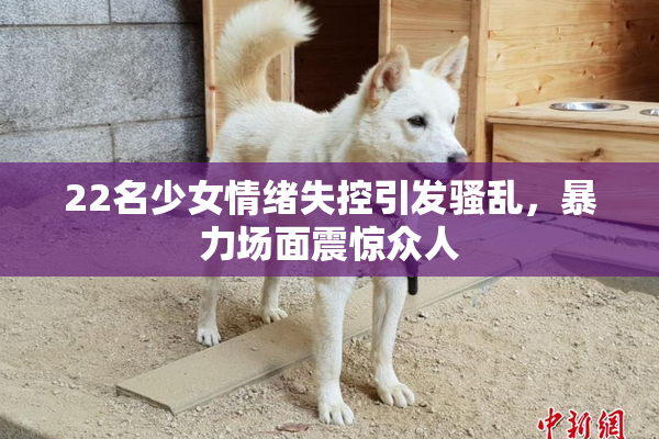 22名少女情绪失控引发骚乱，暴力场面震惊众人