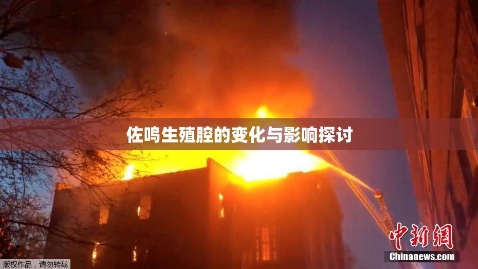 佐鸣生殖腔的变化与影响探讨