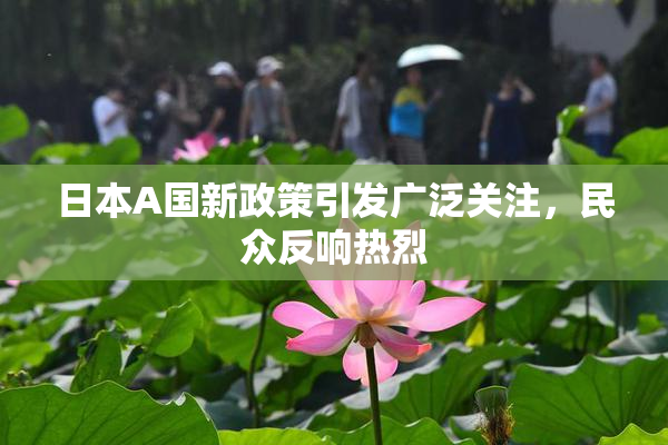 日本A国新政策引发广泛关注，民众反响热烈