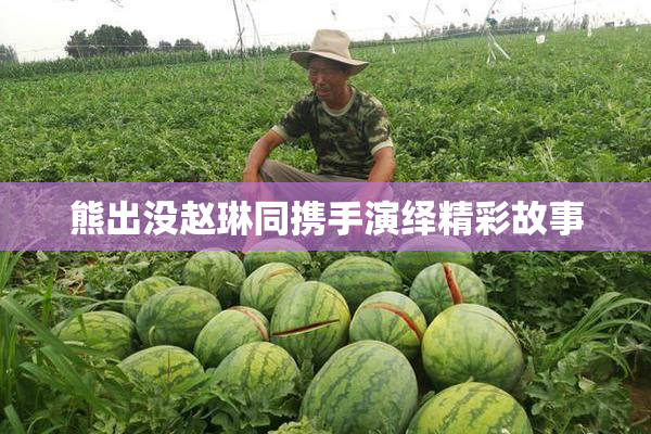熊出没赵琳同携手演绎精彩故事