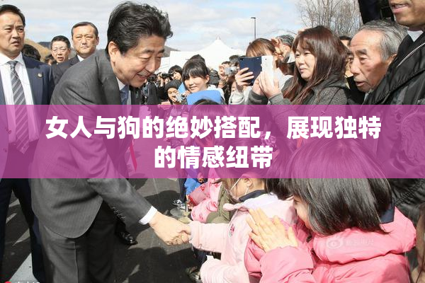 女人与狗的绝妙搭配，展现独特的情感纽带
