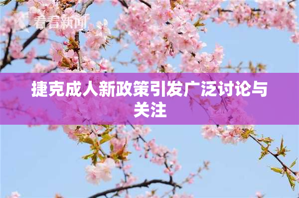 捷克成人新政策引发广泛讨论与关注
