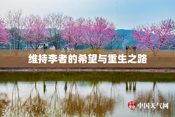维持李者的希望与重生之路