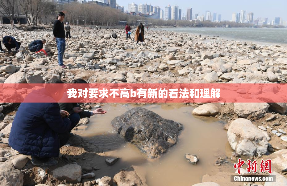我对要求不高b有新的看法和理解