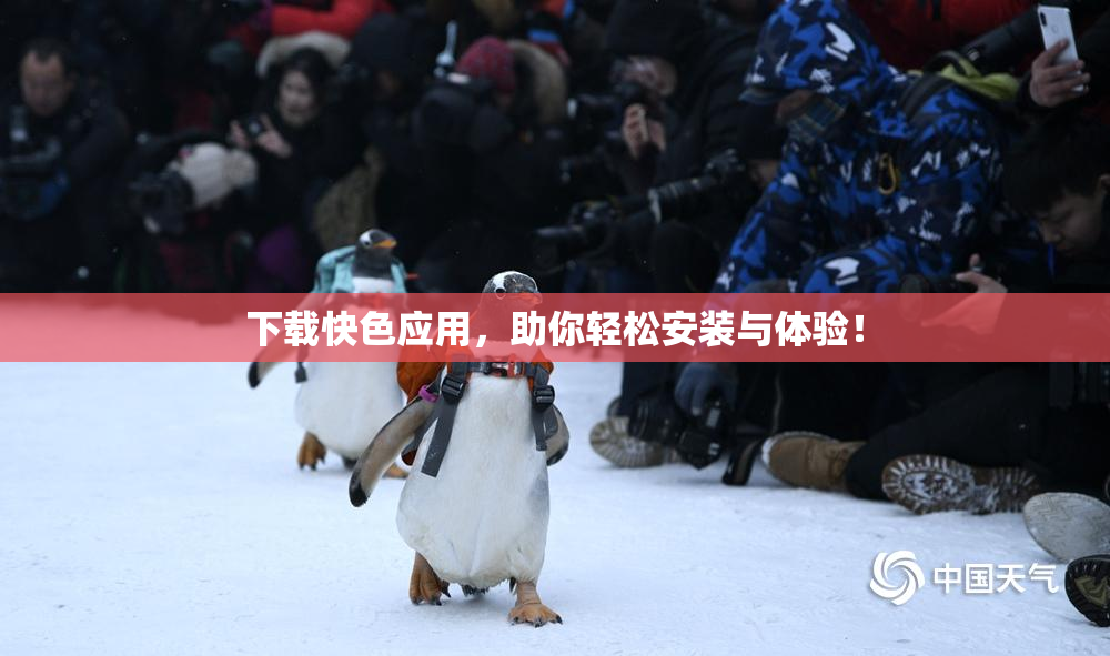 下载快色应用，助你轻松安装与体验！