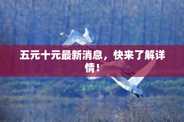 五元十元最新消息，快来了解详情！