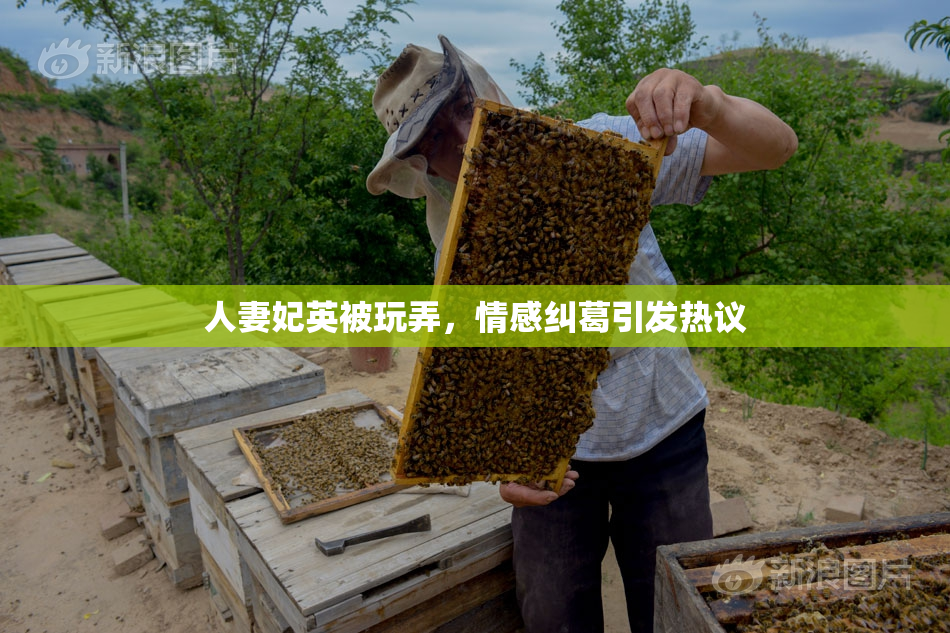 人妻妃英被玩弄，情感纠葛引发热议