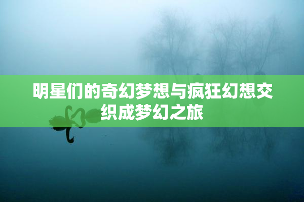 明星们的奇幻梦想与疯狂幻想交织成梦幻之旅