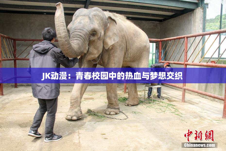 JK动漫：青春校园中的热血与梦想交织