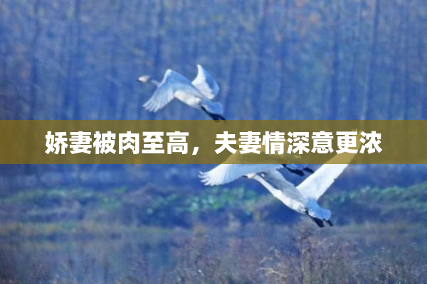 娇妻被肉至高，夫妻情深意更浓