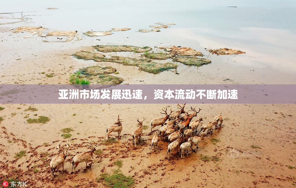 亚洲市场发展迅速，资本流动不断加速