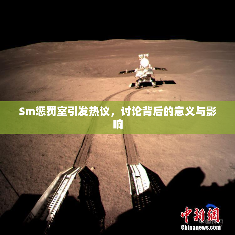 Sm惩罚室引发热议，讨论背后的意义与影响