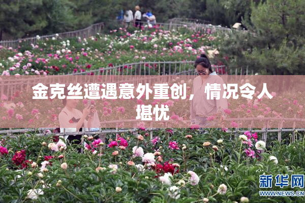 金克丝遭遇意外重创，情况令人堪忧