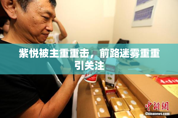 紫悦被主重重击，前路迷雾重重引关注