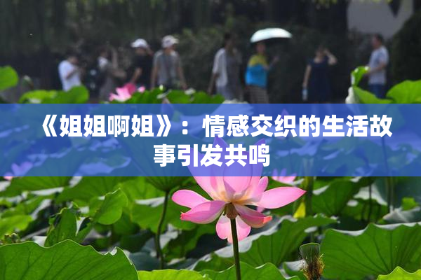 《姐姐啊姐》：情感交织的生活故事引发共鸣