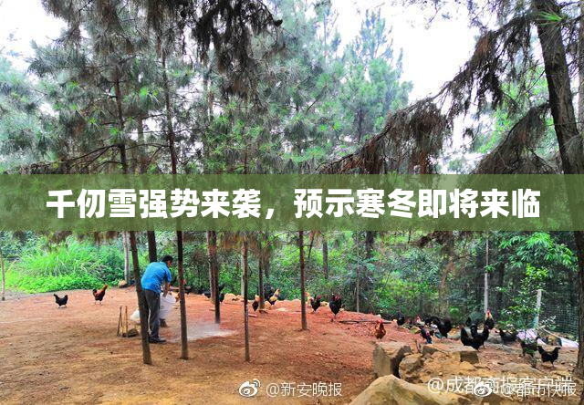 千仞雪强势来袭，预示寒冬即将来临