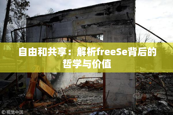 自由和共享：解析freeSe背后的哲学与价值