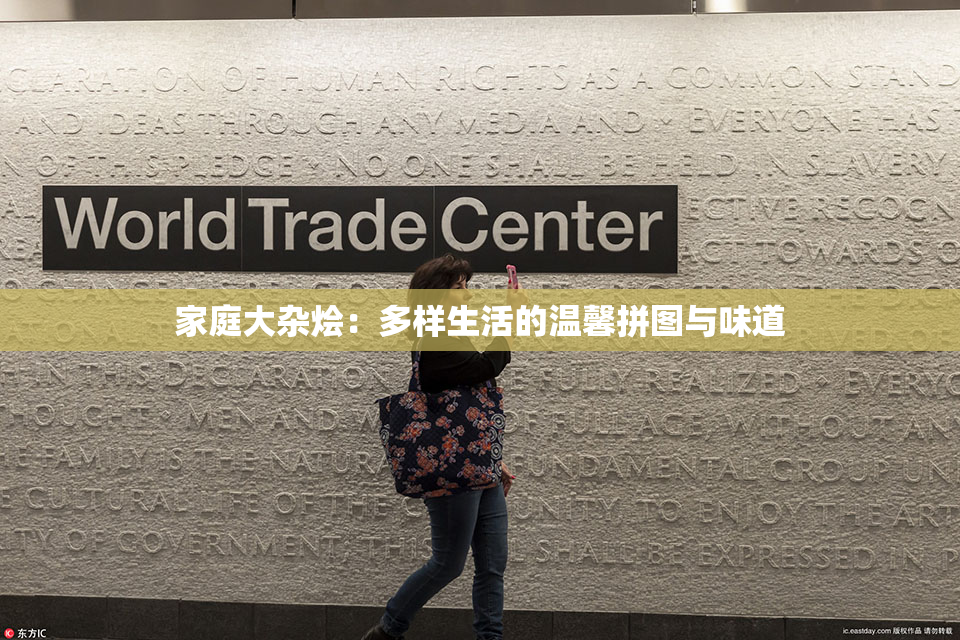 家庭大杂烩：多样生活的温馨拼图与味道