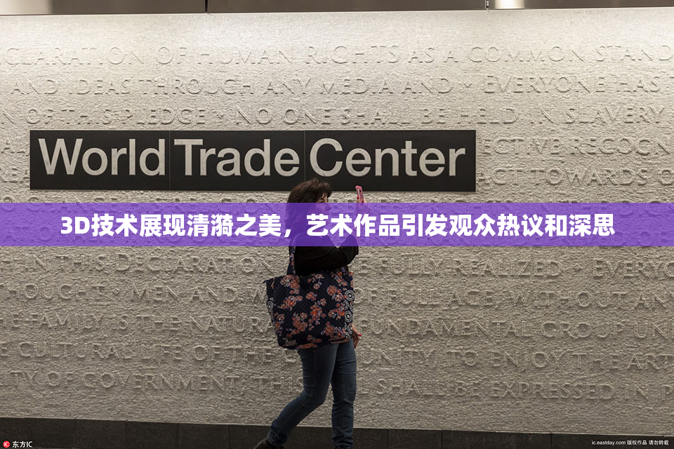 3D技术展现清漪之美，艺术作品引发观众热议和深思