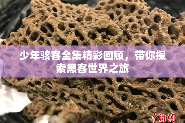 少年骇客全集精彩回顾，带你探索黑客世界之旅