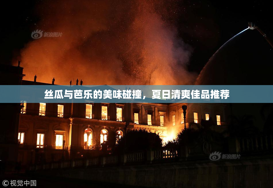丝瓜与芭乐的美味碰撞，夏日清爽佳品推荐