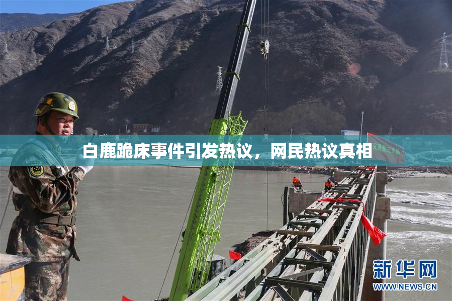 白鹿跪床事件引发热议，网民热议真相