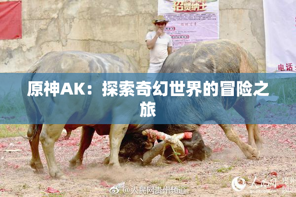 原神AK：探索奇幻世界的冒险之旅