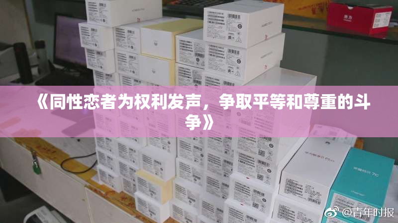 《同性恋者为权利发声，争取平等和尊重的斗争》
