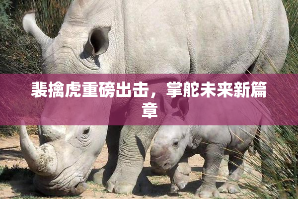裴擒虎重磅出击，掌舵未来新篇章