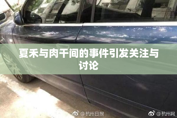 夏禾与肉干间的事件引发关注与讨论