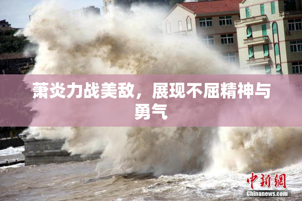 萧炎力战美敌，展现不屈精神与勇气