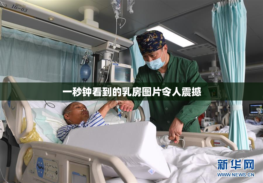 一秒钟看到的乳房图片令人震撼
