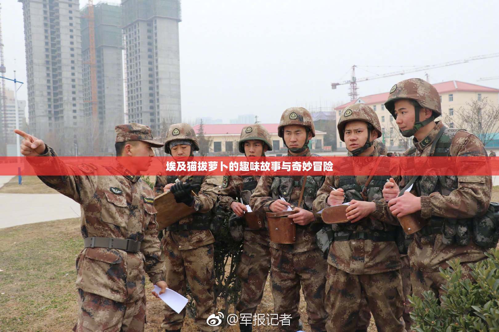 埃及猫拔萝卜的趣味故事与奇妙冒险