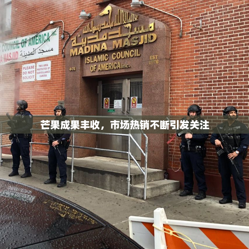 芒果成果丰收，市场热销不断引发关注