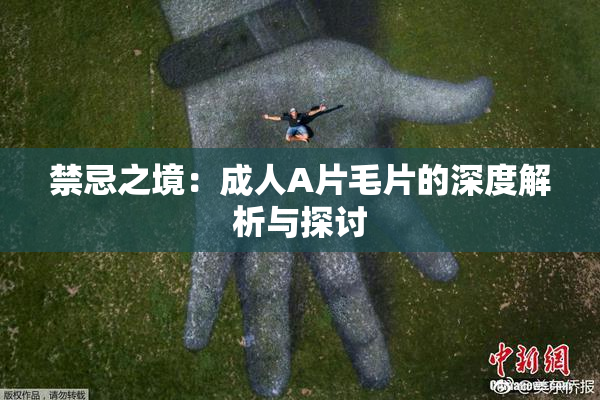 禁忌之境：成人A片毛片的深度解析与探讨