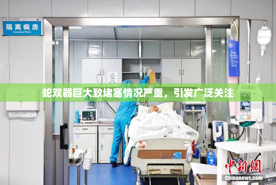 蛇双器巨大致堵塞情况严重，引发广泛关注