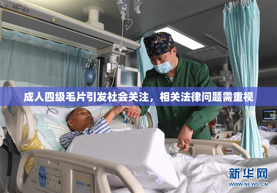 成人四级毛片引发社会关注，相关法律问题需重视