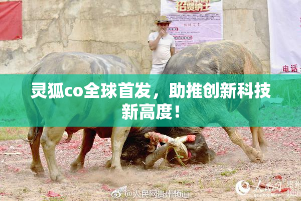 灵狐co全球首发，助推创新科技新高度！