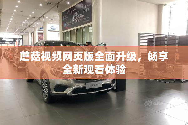 蘑菇视频网页版全面升级，畅享全新观看体验