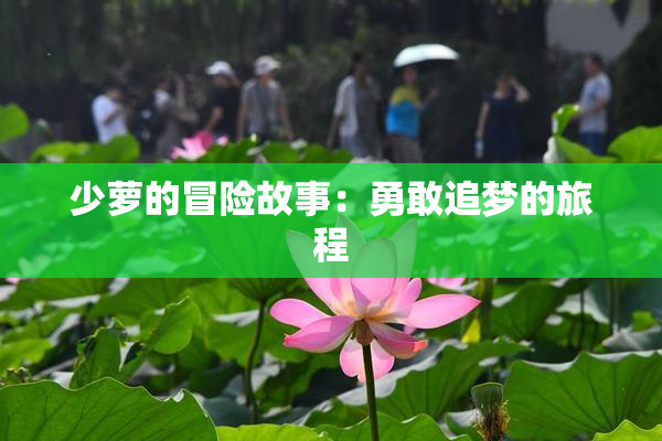 少萝的冒险故事：勇敢追梦的旅程