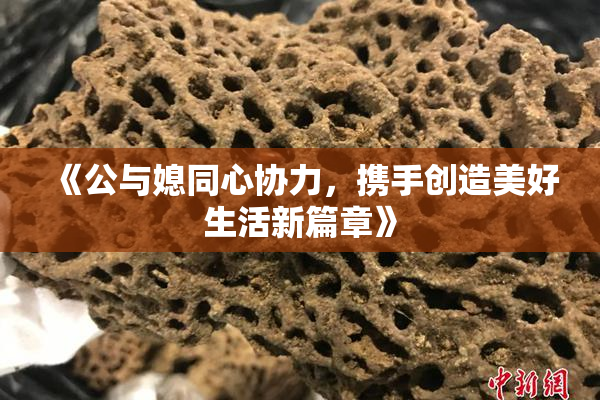 《公与媳同心协力，携手创造美好生活新篇章》