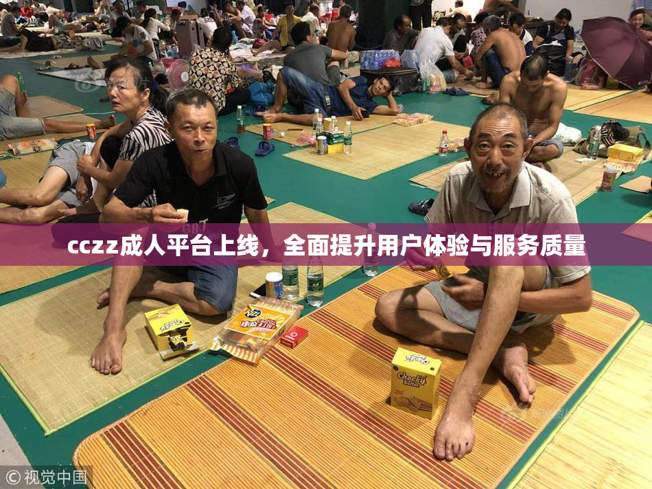 cczz成人平台上线，全面提升用户体验与服务质量