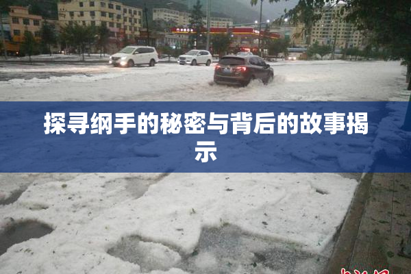 探寻纲手的秘密与背后的故事揭示